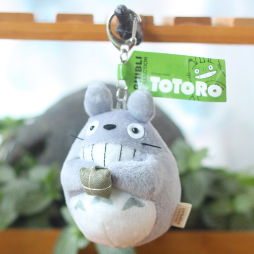 Studio ghibli mio vicino - studio,