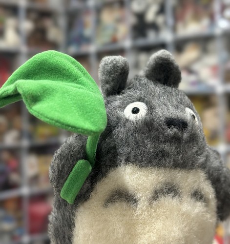 Neighbor big totoro - my,
